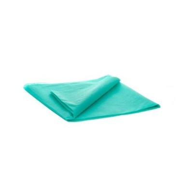 POSZWA Z FIZELINY 25g/m2  210X160